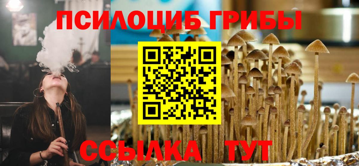 Ейск  Галлюциногенные грибы прущие грибы  Вход с VPN  Псилоцибиновые грибы MAGIC MUSHROOMS 